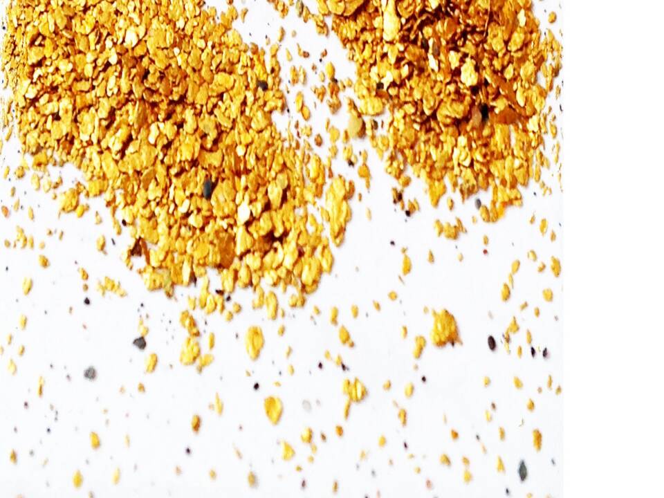 Gold Flakes 21