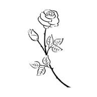 Birth Flower Rose symbol